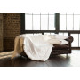 Одеяло кашмирский пух всесезонное 200*220 "CASHMERE GRASS"